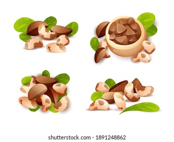 Brazil nut compositions set. Brazillian nut, healthy food. Whole and cracked nuts, hulled and raw kernels. Good for labels and stickers, packaging design. Vector illustration in cartoon style