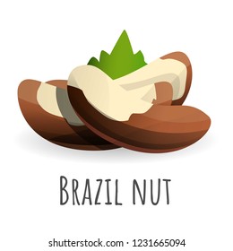 Brazil nut icon. Cartoon of brazil nut vector icon for web design isolated on white background