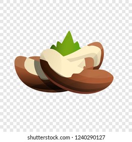 Brazil nut icon. Cartoon of brazil nut vector icon for web design  