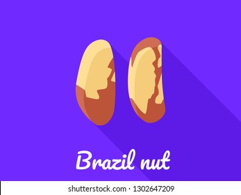 Brazil nut icon. Flat illustration of brazil nut vector icon for web design