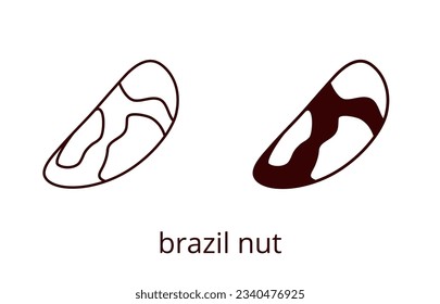 Brazil nut icon, line editable stroke and silhouette