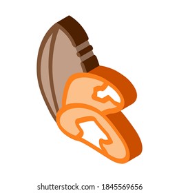 brazil nut icon vector. isometric brazil nut sign. color isolated symbol illustration