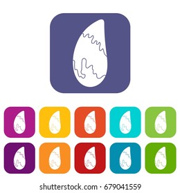 Brazil nut icons set vector illustration in flat style In colors red, blue, green and other