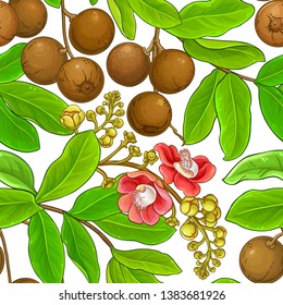 brazil nut pattern on white background