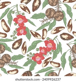 Brazil nut seamless pattern. Hand drawn Brazil nuts, flowers and leaves. Vector illustration in vintage style.