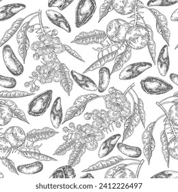 Braunmutter-nahtloses Muster. Handgezeichnete Paranüsse, Blumen und Blätter. Vektorgrafik Schwarz-Weiß.