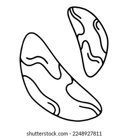 Brazil nut in a shell simple linear cartoon icon in doodle style, vector illustration