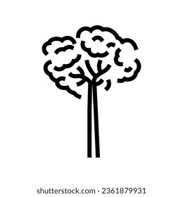brazil nut tree line icon vector. brazil nut tree sign. isolated contour symbol black illustration