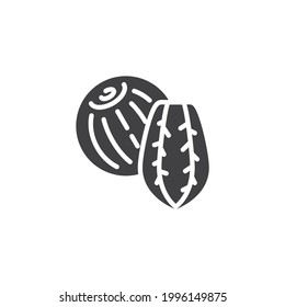 Brazil nut vector icon. filled flat sign for mobile concept and web design. Brazil nut shell glyph icon. Symbol, logo illustration. Vector graphics