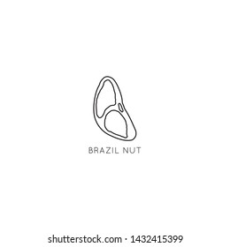 Brazil Nut Vector logo design template with nut icon in linear style. Abstract emblem for organic shop, healthy food store or 
vegetarian cafe.