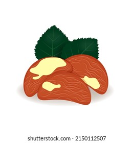 Nueces de Brasil en estilo de caricatura, ilustración vectorial, nueces aisladas realistas para tu producto, entero fresco, hojas y nueces en fondo blanco