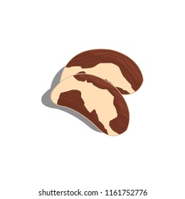 Brazil nuts icon. Vector. 