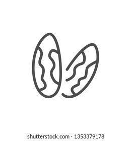 Brazil nuts line icon