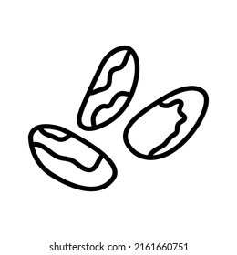 Brazil nuts outline icon. Bertholletia. Organic food. Vector illustration isolated on white background.