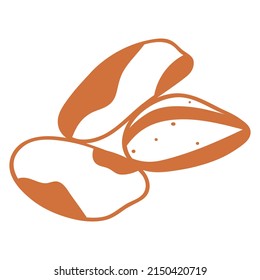 Brazil nuts. Outline icon. Vector illustration on white background.