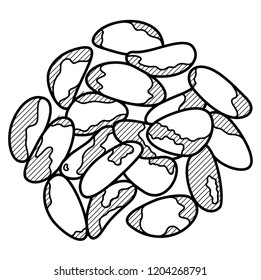 Brazil Nuts. Vector flat outline icon illustration isolated on white background.