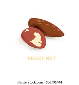 brazil nuts for your design 