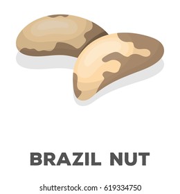 Brazil nuts.Different kinds of nuts single icon in cartoon style vector symbol stock illustration.