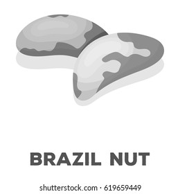 Brazil nuts.Different kinds of nuts single icon in monochrome style vector symbol stock illustration.