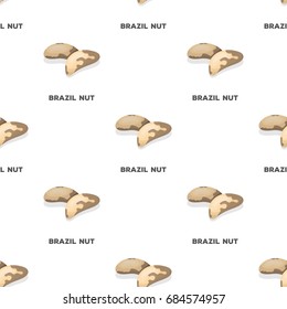 Brazil nuts.Different kinds of nuts single icon in cartoon style vector symbol stock illustration.