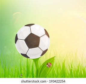 Brazil Summer 2014 Vector, Soccer Ball for Football Design. Ball Looks Like Flower. Grass with Dew.