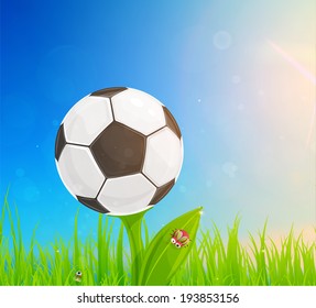 Brazil Summer 2014 Vector, Soccer Ball for Football Design. 