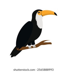 Brazil Vector Illustration - Toucan Bird