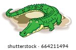 Brazilian alligator
