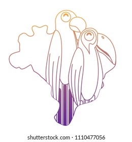 Brazilian birds design