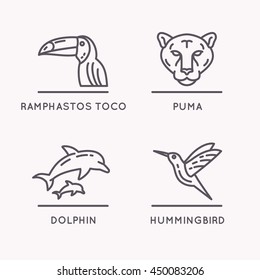 Brazilian culture linear icons set. Animals Of South America. Vector illustration of Toucan, Puma, Hummingbird and Dolphin.