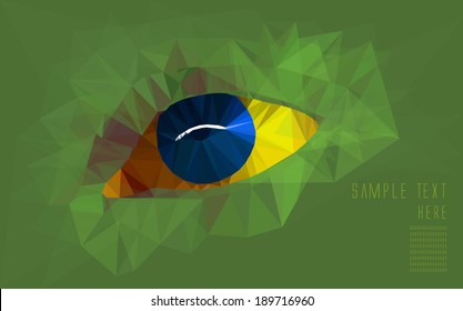 Brazilian Flag, polygonal draw.