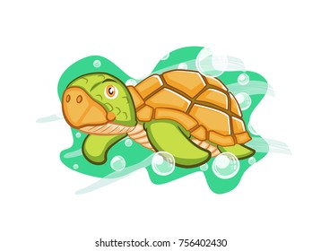 Brazilian green turtle