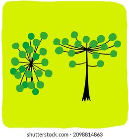 Brazilian hand-drawn araucaria tree from Curitiba