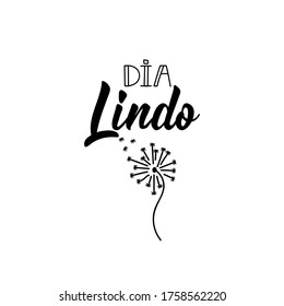 Brazilian Lettering. Translation from Portuguese - Beautiful day. Modern vector brush calligraphy. Ink illustration. Dia Lindo