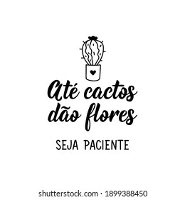 Brazilian Lettering. Translation from Portuguese - Even cacti give flowers. Be patient. Modern vector brush calligraphy. Ink illustration. Perfect design for greeting cards, posters, t-shirts, banners