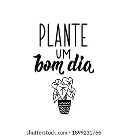 Brazilian Lettering. Translation from Portuguese - Plant a good day. Modern vector brush calligraphy. Ink illustration. Perfect design for greeting cards, posters, t-shirts, banners