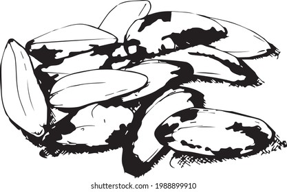 Brazilian Nut. Symbol. Vector illustration.