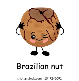 Brazilian nut. Vector illustration. Walnut character isolated on white background.
