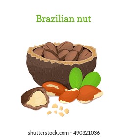Brazilian nuts. Vector illustration of a handful of nut peeled nuts and in shell, leaves isolated on white background it can be used as packaging design element, printing brochures on healthy, diet