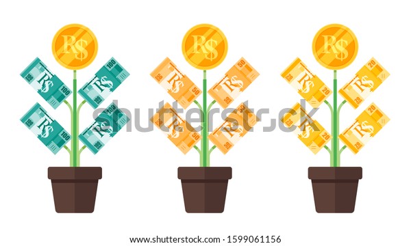 Brazilian Real Money Tree Plant Grow Stock Vector Royalty Free 1599061156