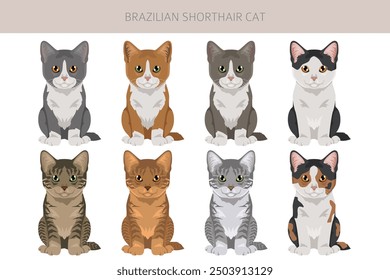 Brazilian shorthair Cat clipart. All coat colors set.  All cat breeds characteristics infographic. Vector illustration