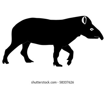 Brazilian tapir