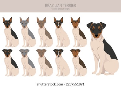 Brasilianische Terrier Clipart. Unterschiedliche Farben und Posen.  Vektorgrafik