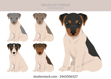 Brazilian Terrier Welpe Clipart. Verschiedene Fellfarben und Posen gesetzt.  Vektorillustration