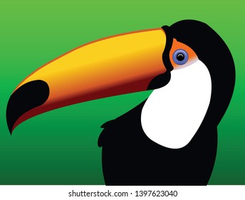 Brazilian Toucan Bird - tropical wildlife