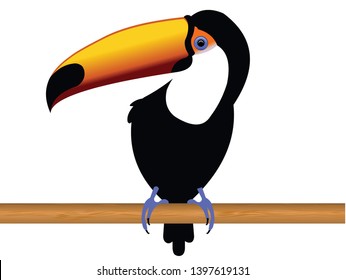 Brazilian tucano bird with blue feet