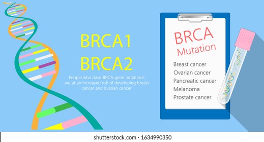 BRCA Gene Test Breast Ovarian Cancer Risk Analyze BRCA1 BRCA2 Diagnosis Draw Examine Prevention Detect Cell Female Fallopian Tube