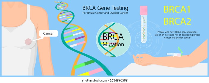 Vektor Stok Newborn Screening Neonate Metabolism Rare Paper (Tanpa ...