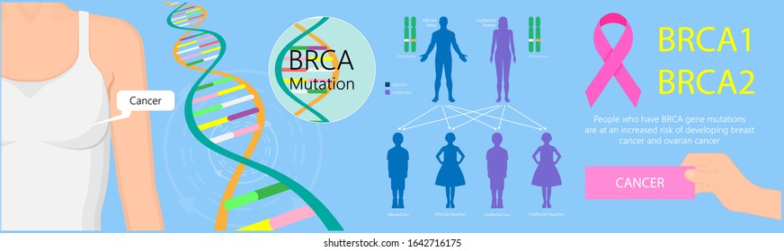 BRCA Gene Test Breast Ovarian Cancer Risk Analyze BRCA1 BRCA2 Diagnosis Draw Examine Prevention Detect Cell Female Fallopian Tube