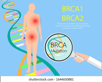 BRCA Gene Test Breast Ovarian Cancer Risk Analyze BRCA1 BRCA2 Diagnosis Draw Examine Prevention Detect Cell Female Fallopian Tube